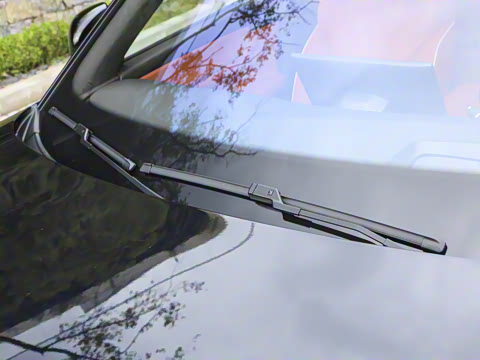 2025�� 215�����콢PLUS