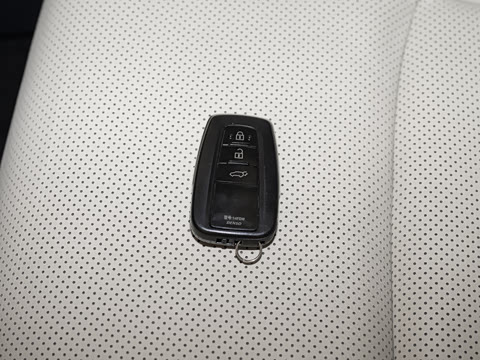 2024�� ˫�� 2.5L E-CVT��������