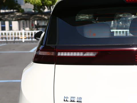 2026�� 305km ���ɰ�