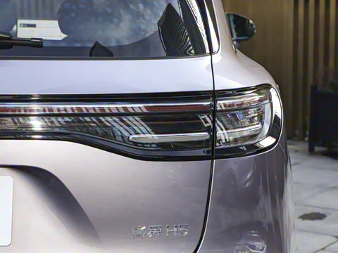 2025�� ���� Max