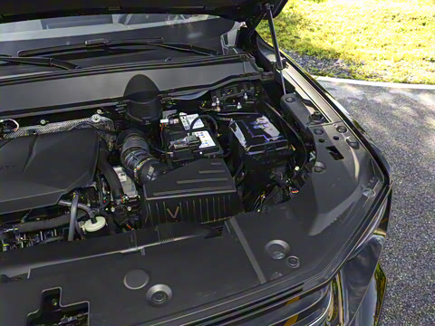 2026�� 2.0T ������Ұ��