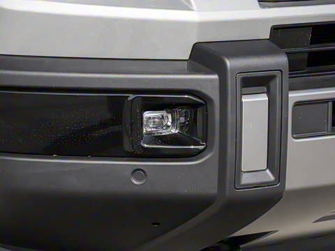 2025�� ������ 5��