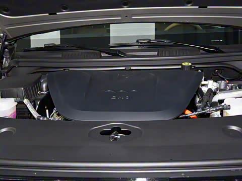 2025�� ���º����� 5��