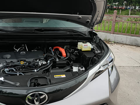 2026�� 2.5L ˫������������