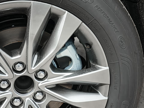 2026�� 2.5L ˫������������