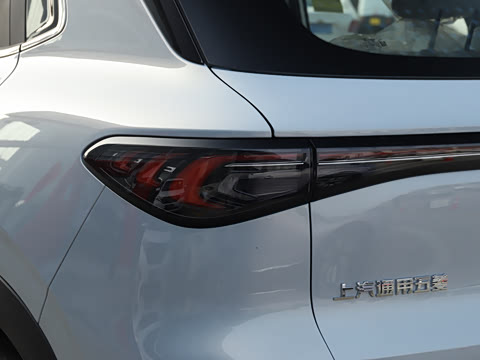 2025�� 325km ������