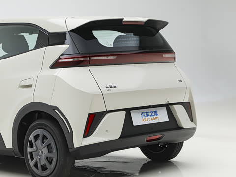 2026�� 305km ������