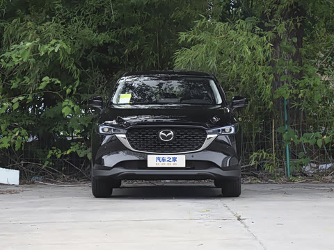 2025�� 2.0L �Զ���������Pro