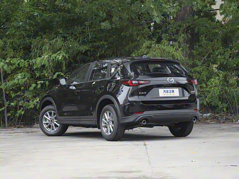 2025�� 2.0L �Զ���������Pro