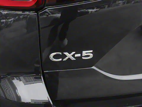 2025�� 2.0L �Զ���������Pro