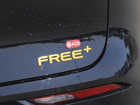 2025�� FREE+ �����˶����ư�