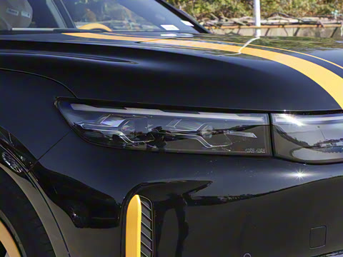 2025�� FREE+ �����˶����ư�