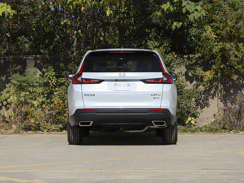 2026�� ȫ��30����ҫ�� 2.0L e:HEV �������а�