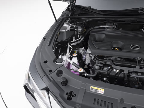 2026�� 300h ������