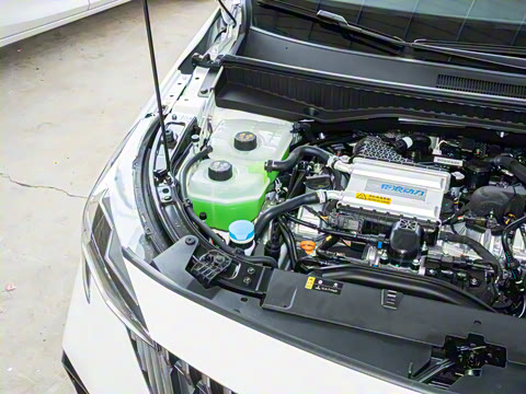 2026�� Ӱ�� 270T ��ȡ��