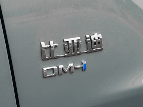 2026�� DM-i 310KM ��Խ��
