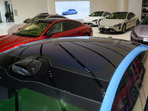 2026�� Max