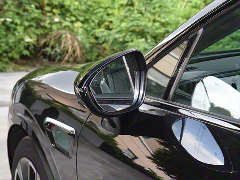 2025�� Max �����