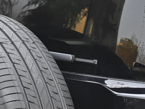 2025�� ������-��Ұ 5��