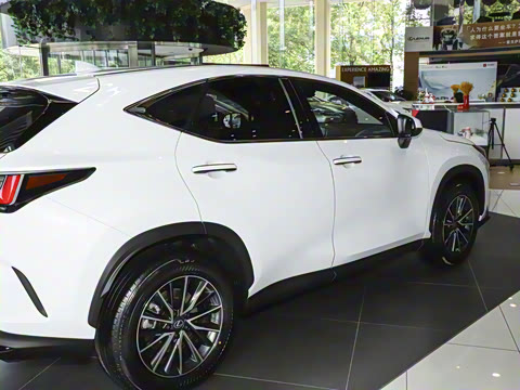 2025�� 350h JOY X