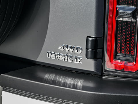 2025�� 2.0T 4WD Pro