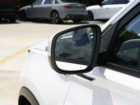 2025�� 290TGDI DCT����� 