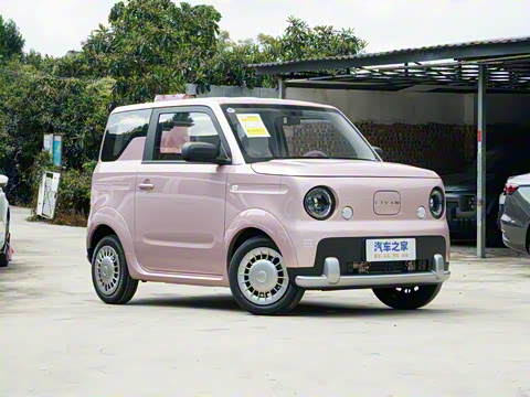 2025�� ������