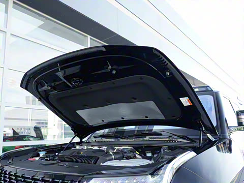 2025�� ������