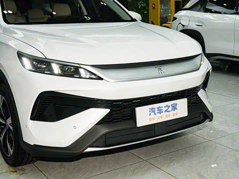 2026�� DM-i 220KM׿Խ��