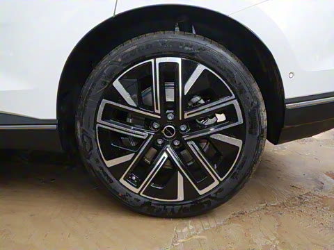 2026�� ������������Plus