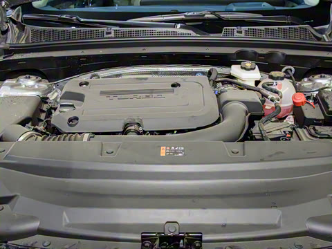 2025�� ��ά�� ����й���