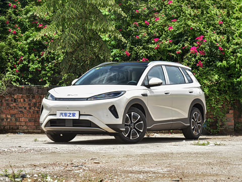 2026�� DM-i 305�Ǻ���