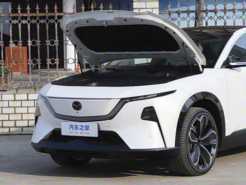 2025�� ����600 Max