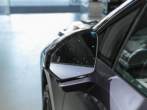 2025�� 530km ����Pro