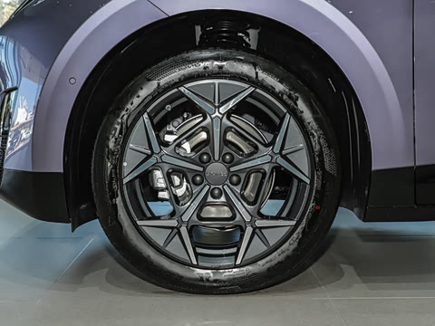 2025�� 530km ����Pro