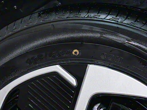 2026�� 437 ���ݰ�