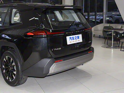 2026�� 2.0L ���ܵ��˫�� PRO