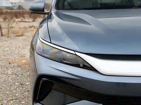 2026�� DM-i 133KM��ȡ��