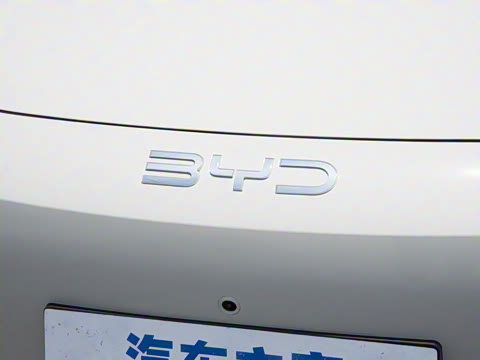 2025�� DM-i 121�캽��