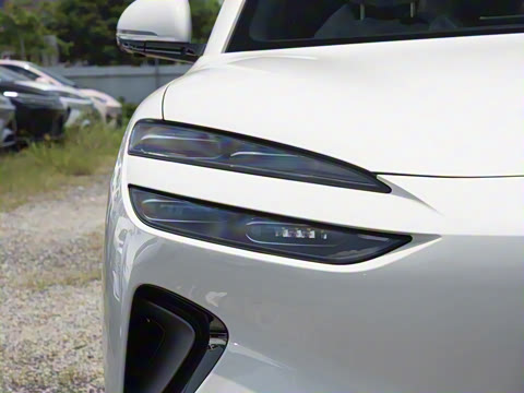 2025�� DM-i 121�캽��