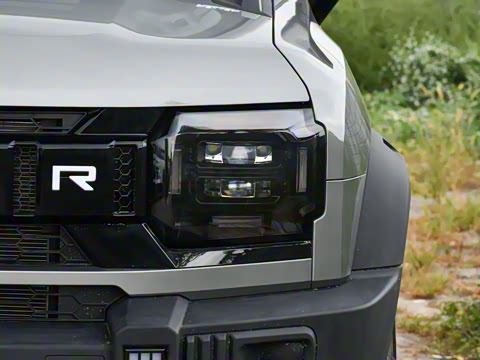 2025�� C-DM 208KM ��Ұ��