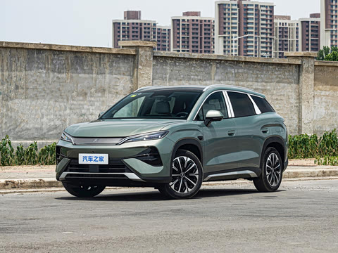2026�� DM-i 310KM ׿Խ��