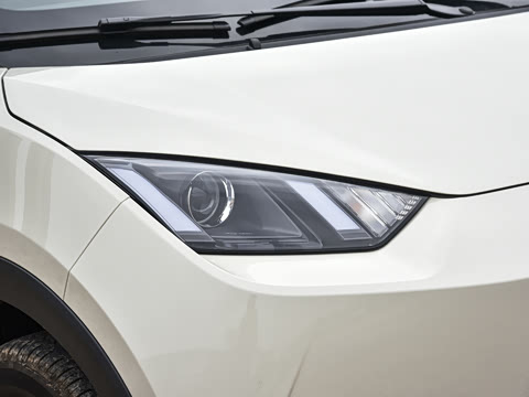 2026�� 305km ������