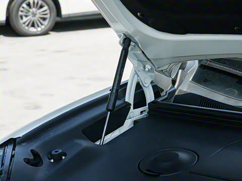 2025�� 670 Max��