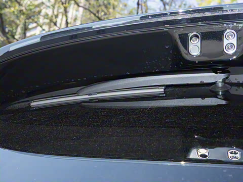 2025�� ���� Max+ ������������ 