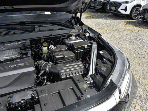 2025�� 290T ��������+