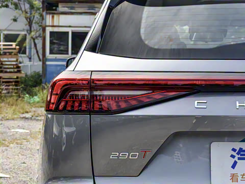 2025�� 290T ��������+