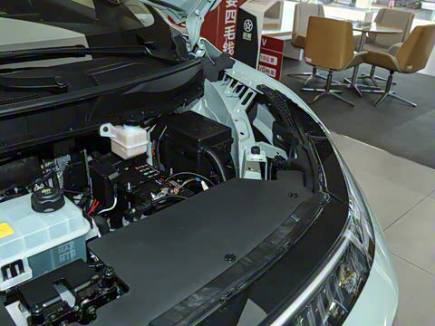 2026�� ��ƽ�� ������������