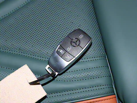 2025�� LS600MX ��������