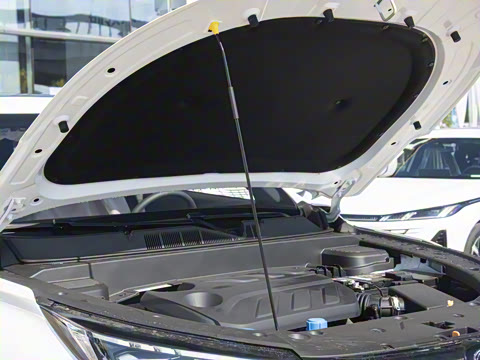 2026�� �ڶ��� 1.5T �ȷ�PRO